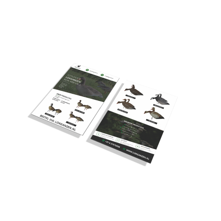 Prodecoys